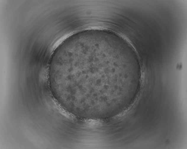 X0000114210874200910231404
