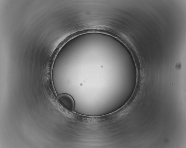 X0000114210875200910231404