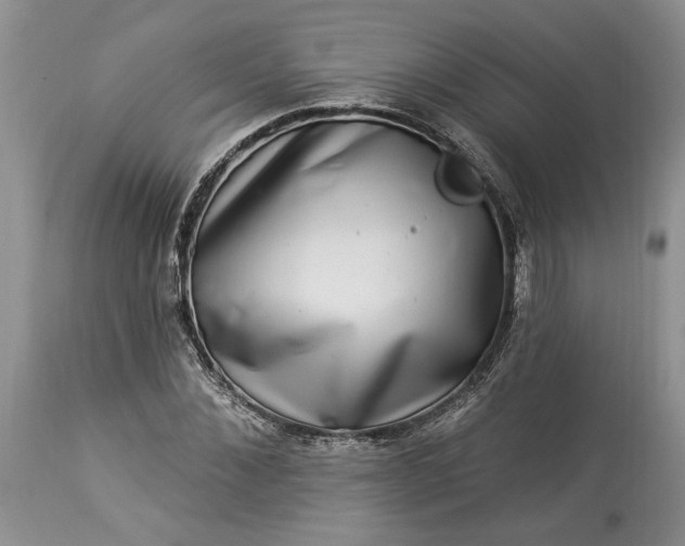 X0000114210876200910231404