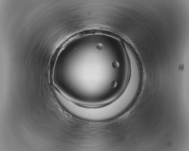 X0000114210877200910231404