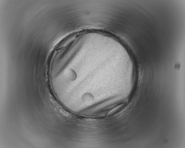 X0000114210878200910231404