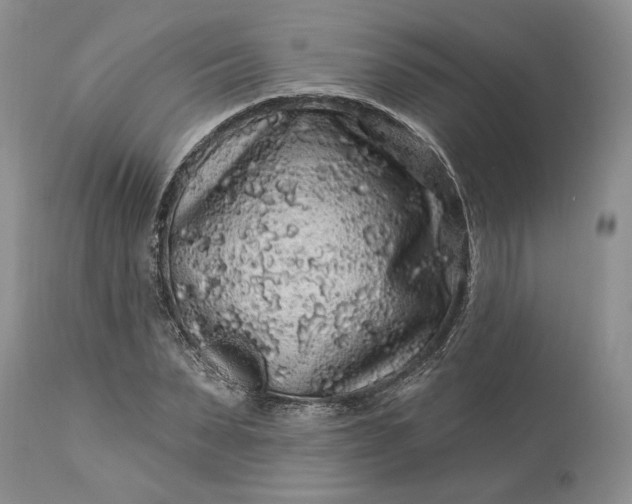 X0000114210879200910231404