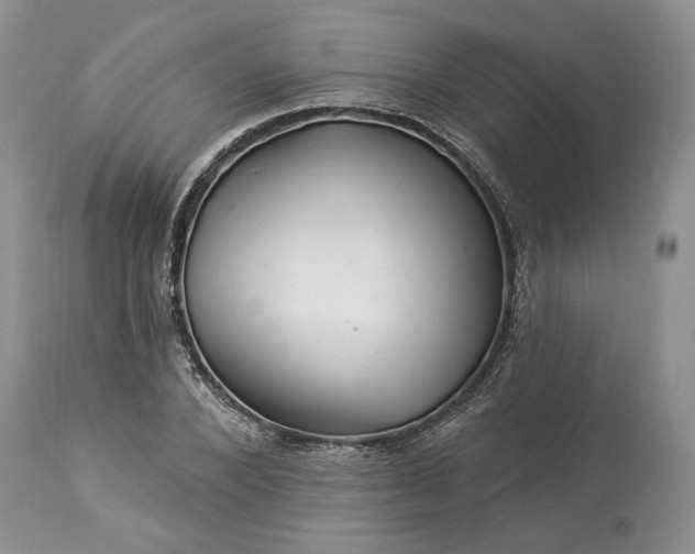 X0000114210880200910231404