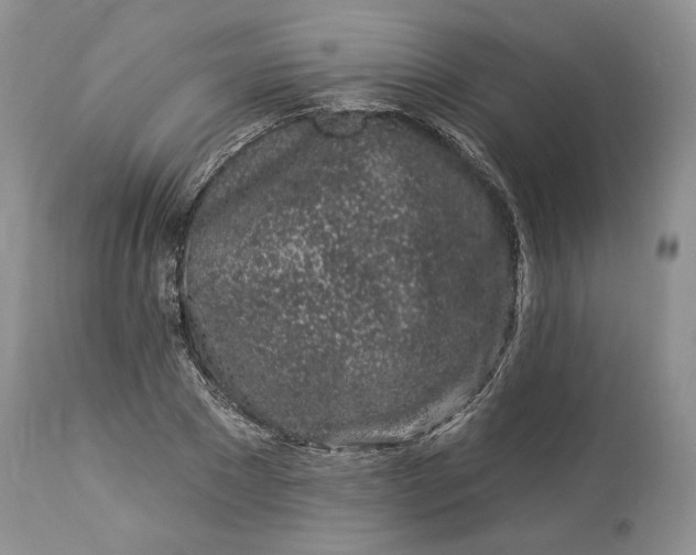 X0000114210881200910231404