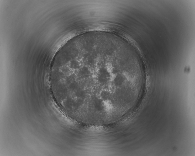 X0000114210882200910231404