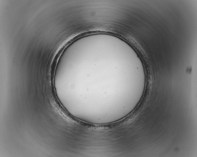 X0000114210884200910231404
