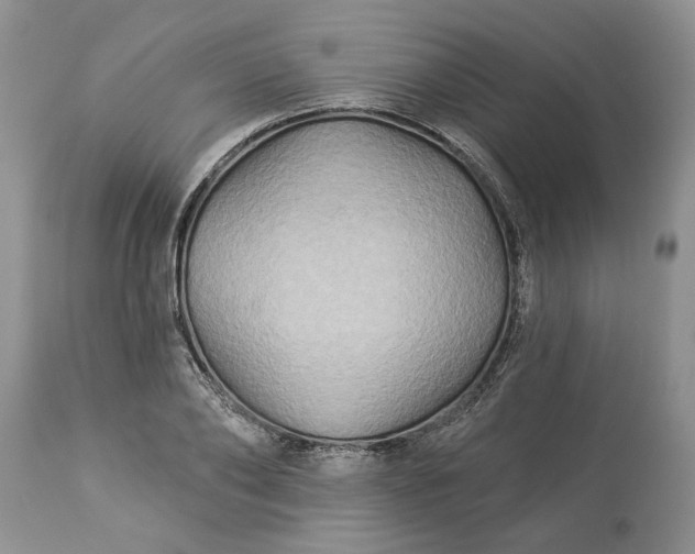 X0000114210886200910231403