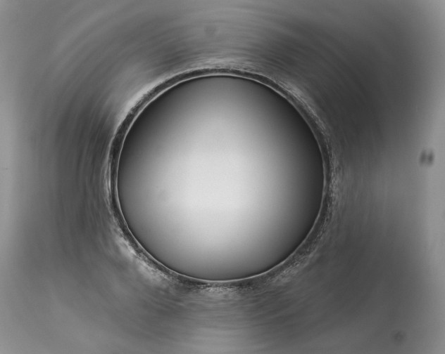 X0000114210888200910231403