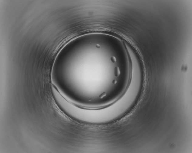 X0000114210889200910231403