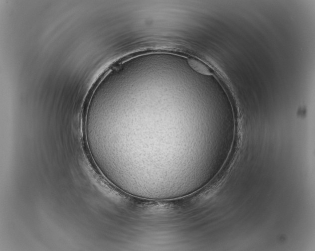X0000114210891200910231403