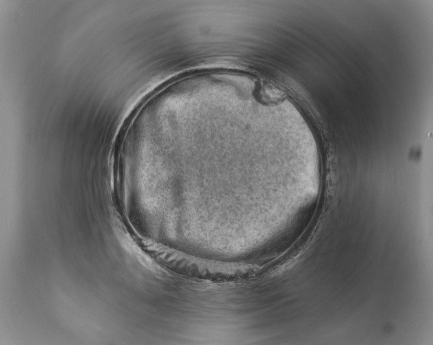X0000114210892200910231403