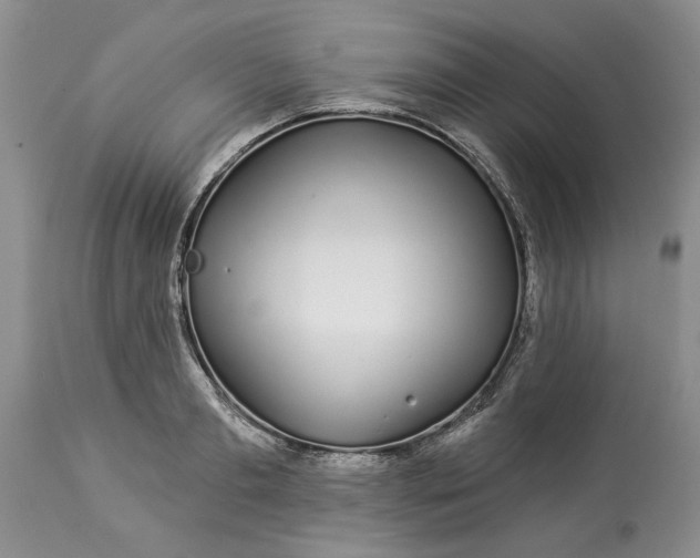 X0000114210893200910231403