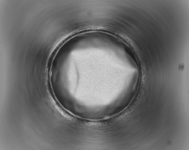 X0000114210894200910231403