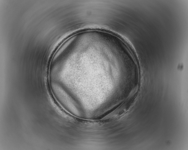 X0000114210895200910231403