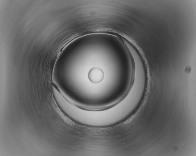 X0000114210897200910231403