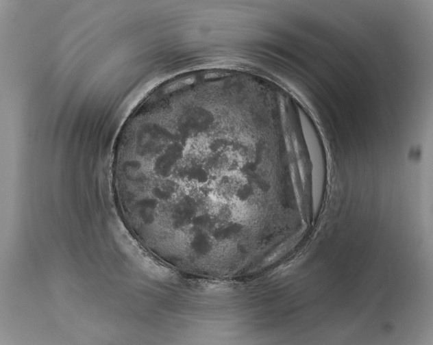 X0000114210899200910231403