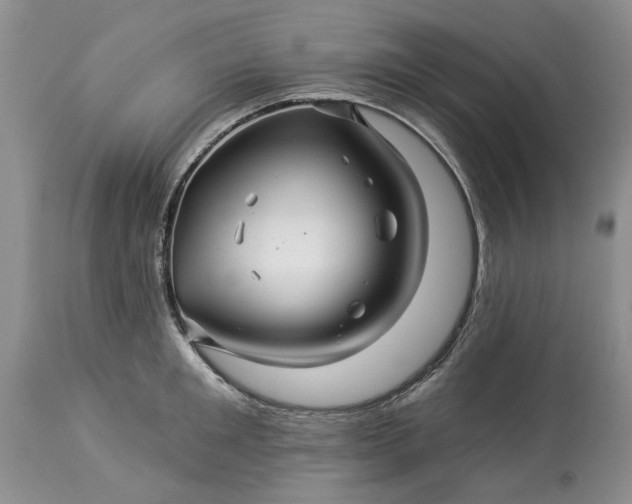 X0000114210901200910231403