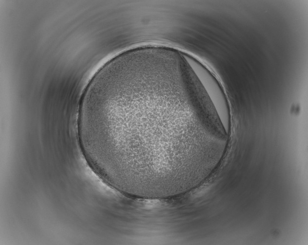 X0000114210903200910231403
