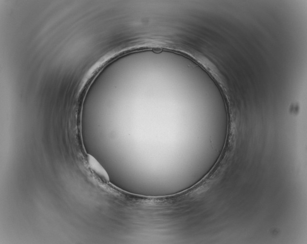 X0000114210904200910231403