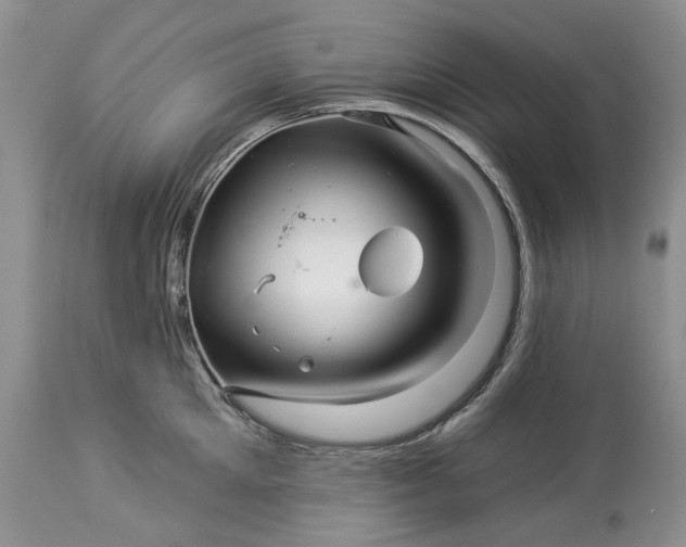 X0000114210905200910231403