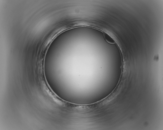 X0000114210906200910231403