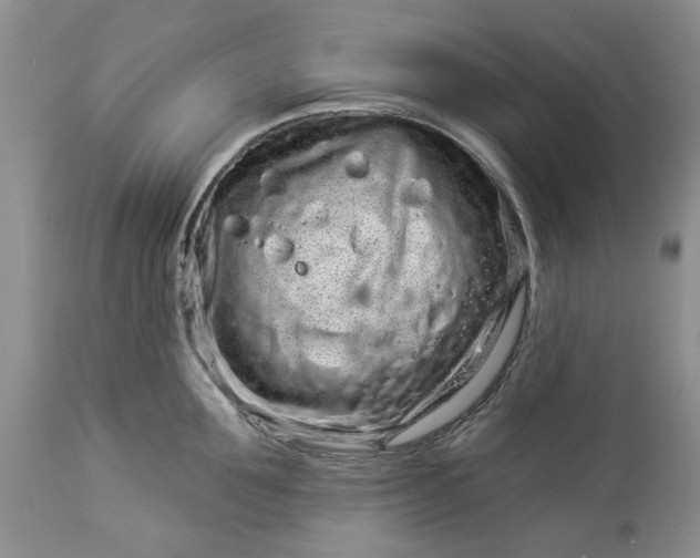 X0000114210907200910231403