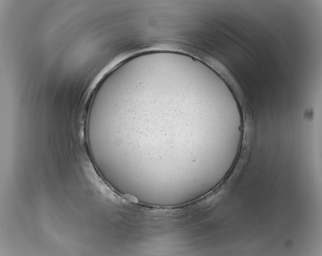 X0000114210908200910231403