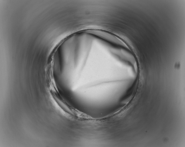 X0000114210910200910231403