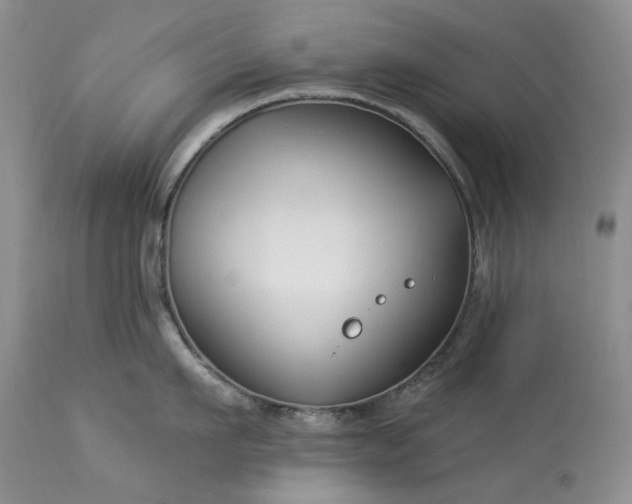 X0000114210911200910231403