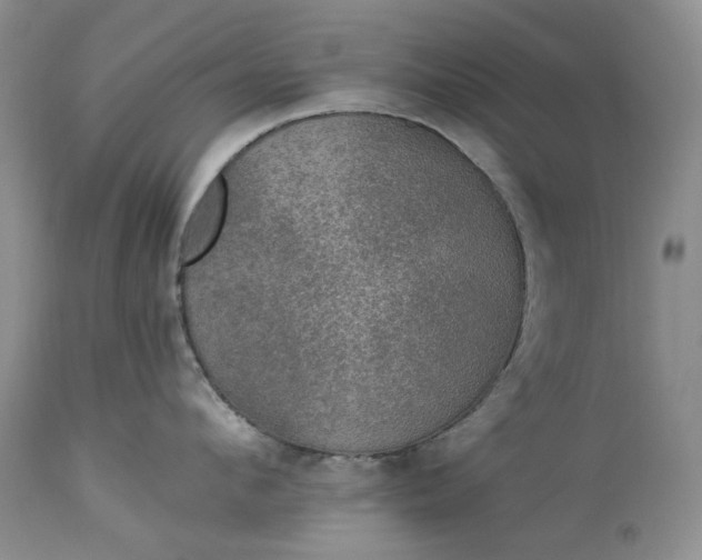 X0000114210912200910231403