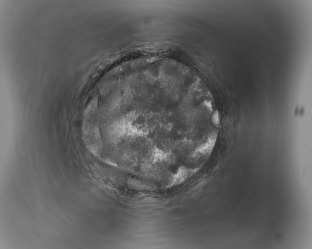 X0000114210913200910231402