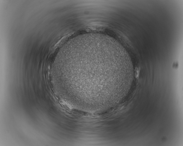 X0000114210915200910231402