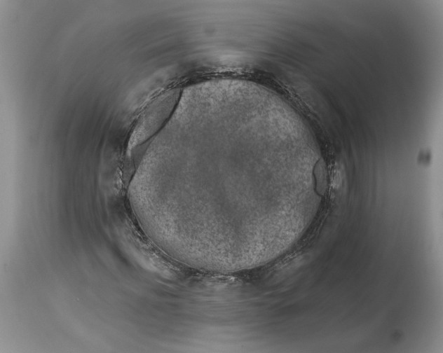 X0000114210916200910231402