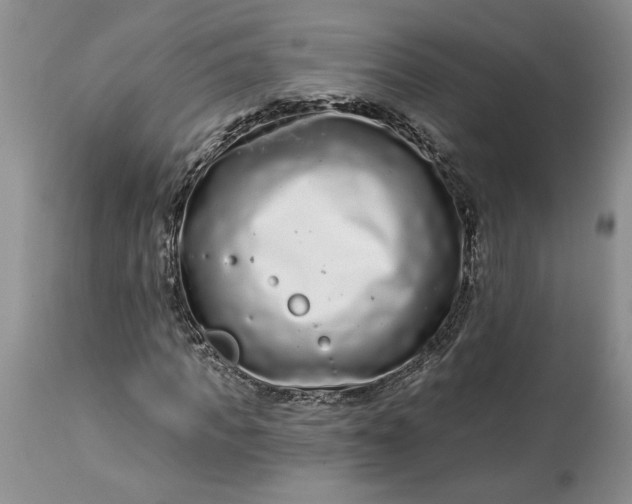X0000114210917200910231402