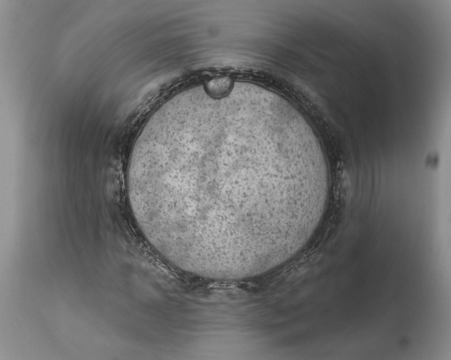 X0000114210918200910231402