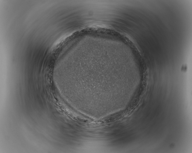 X0000114210919200910231402