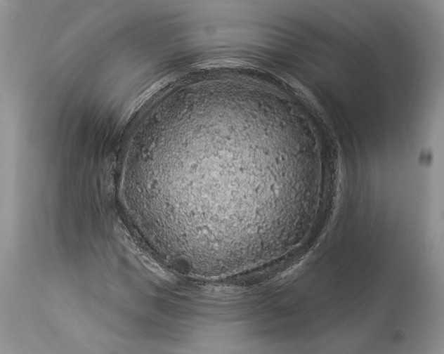 X0000114210921200910231402