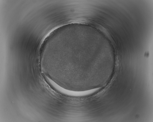 X0000114210923200910231403