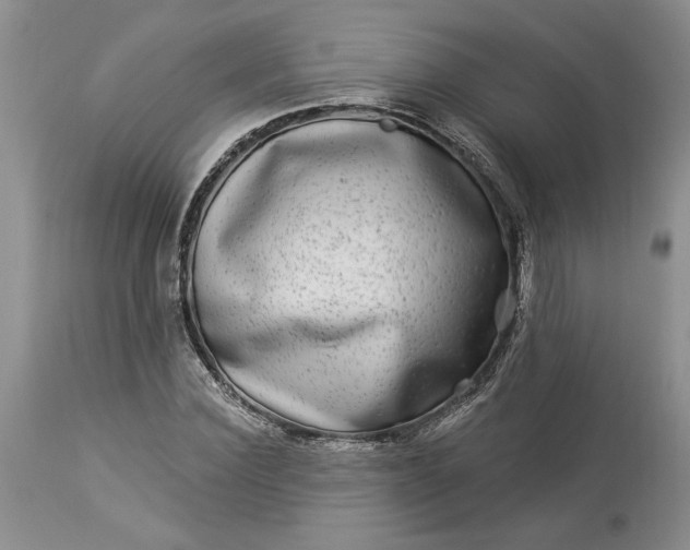X0000114210924200910231403