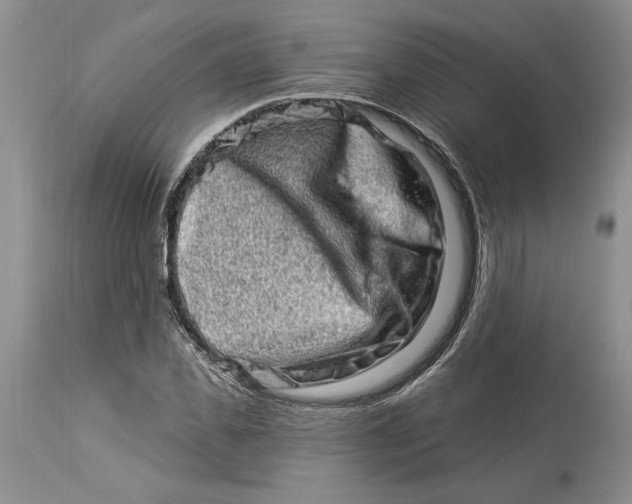 X0000114210925200910231403