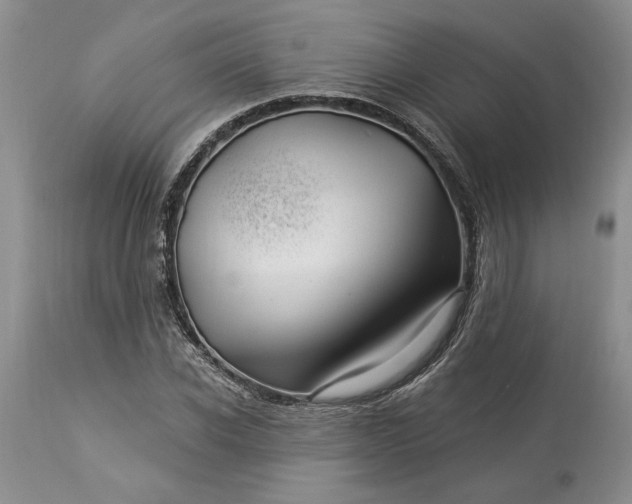 X0000114210926200910231403