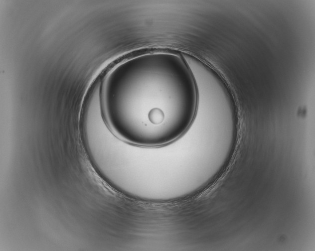 X0000114210932200910231403