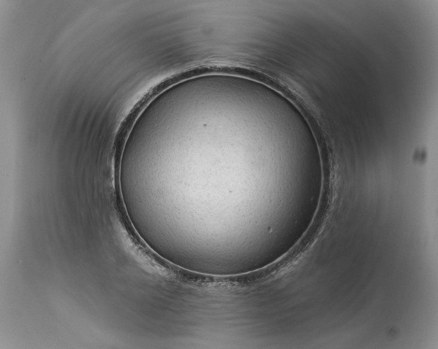 X0000114210934200910231403