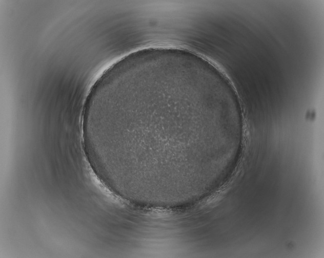 X0000114210935200910231403