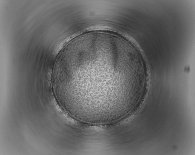 X0000114210937200910231403