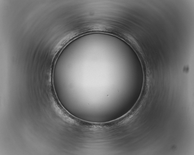 X0000114210938200910231403