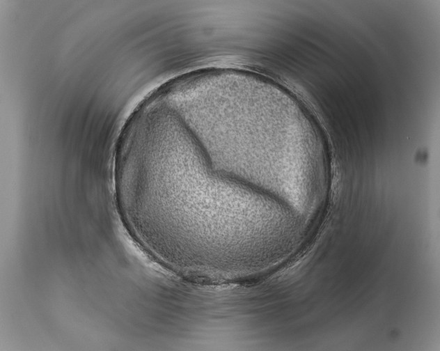 X0000114210939200910231403