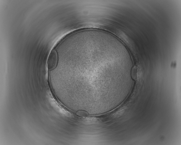 X0000114210940200910231403