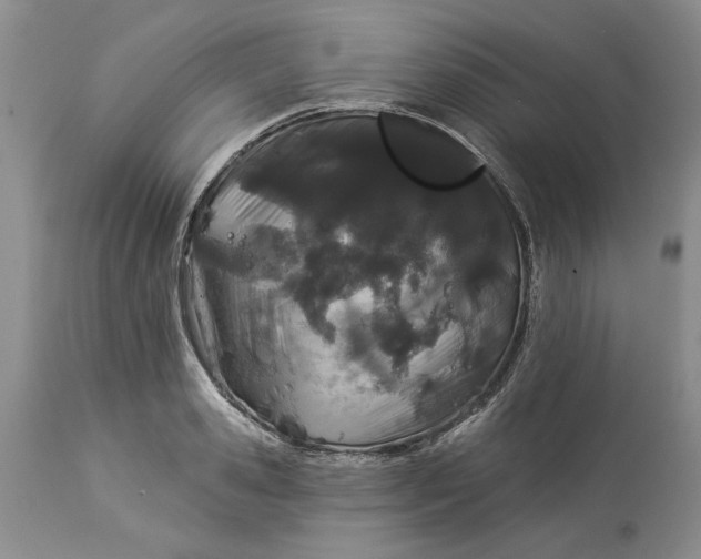 X0000114210941200910231403