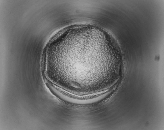 X0000114210943200910231403